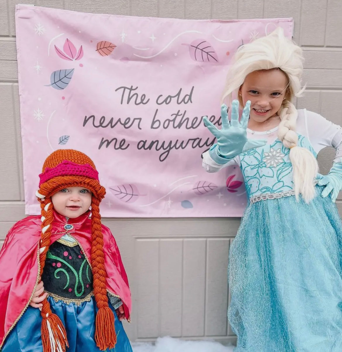 Cold Never Bothered Me Sign