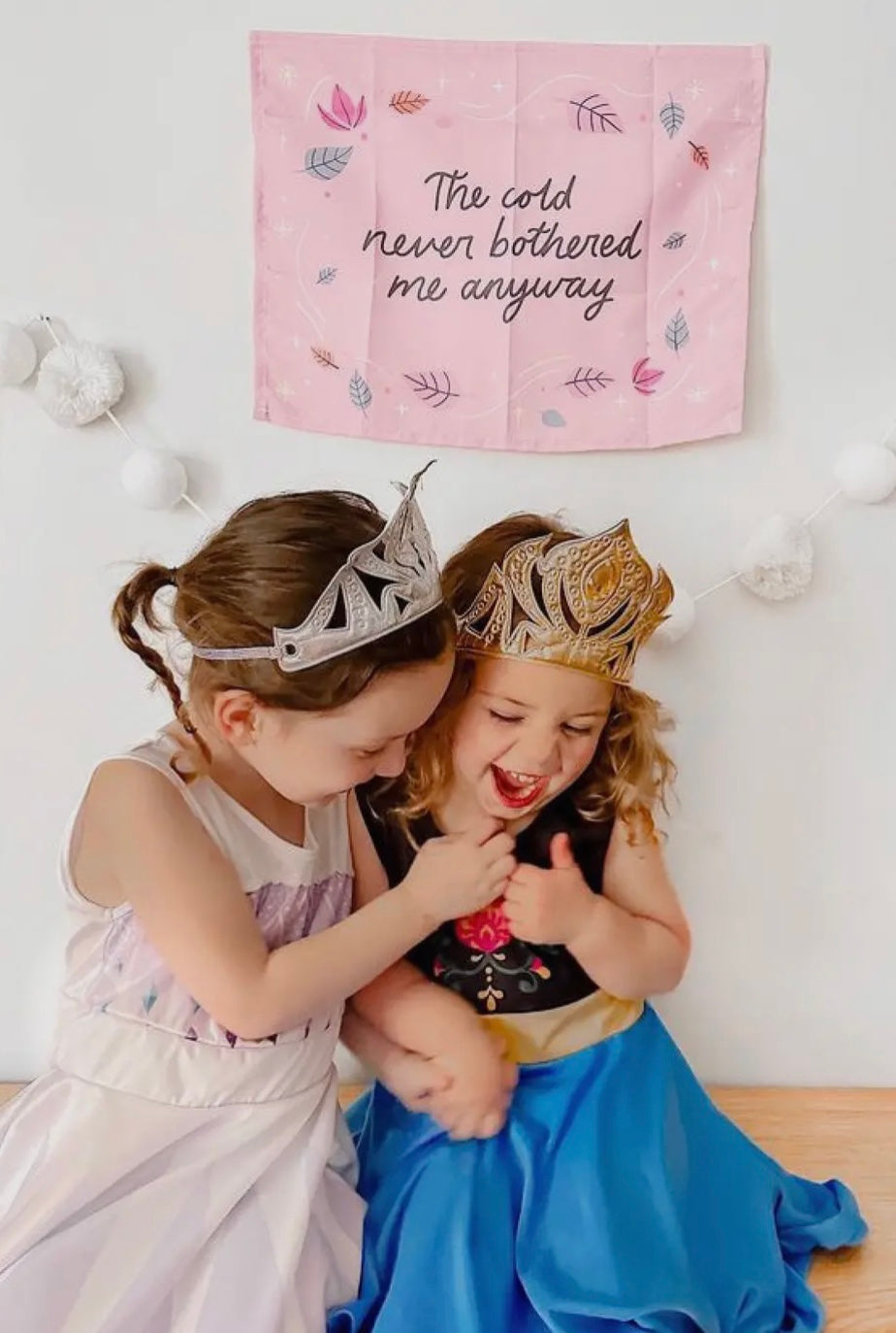 Cold Never Bothered Me Sign