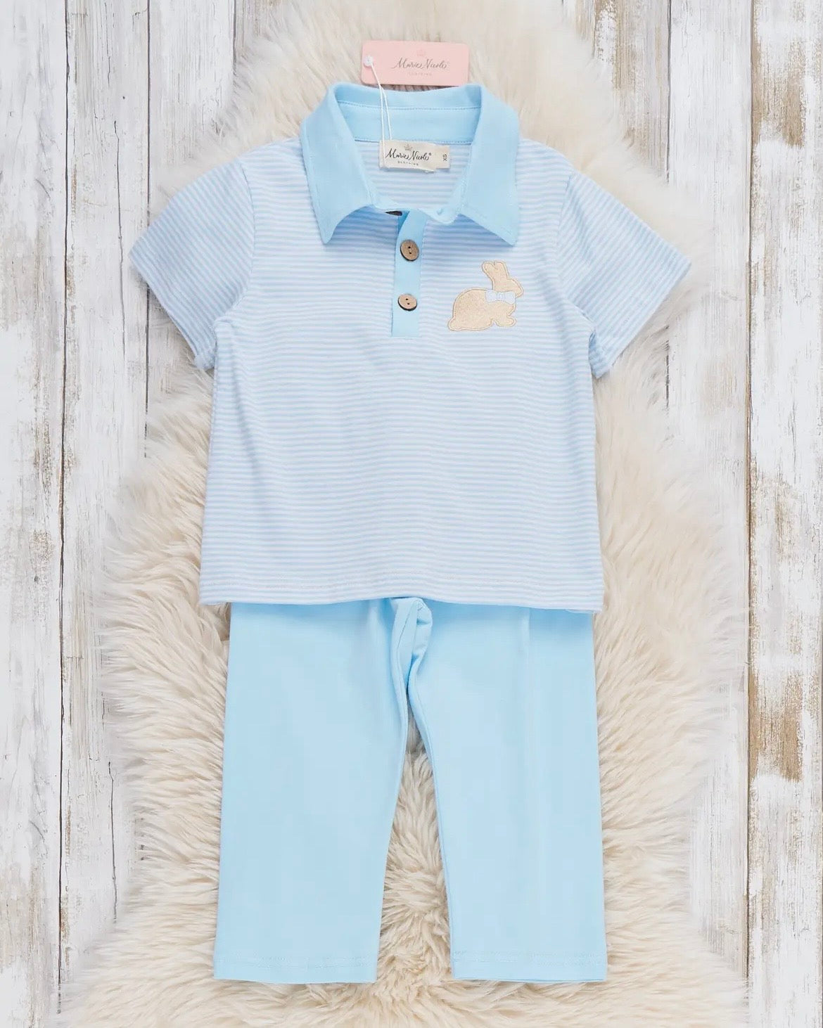 Blue Bunny Set